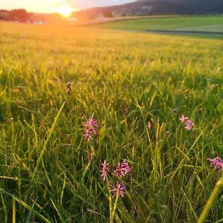 Boehmerwald Pur - Haus1 Mit Eigener Sauna! * Klaffer am Hochficht